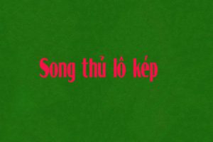 song thu lo kep